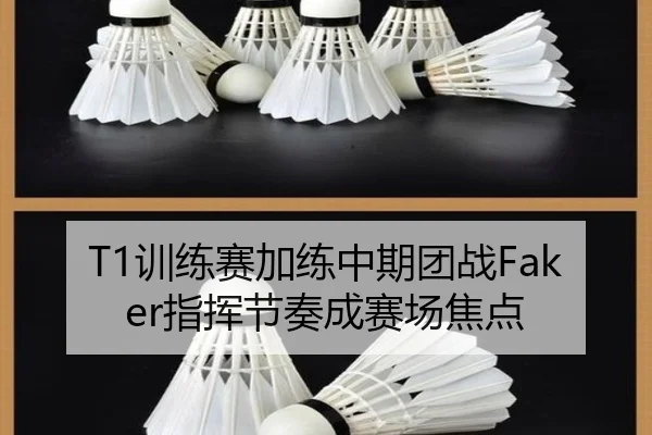 T1训练赛加练中期团战Faker指挥节奏成赛场焦点